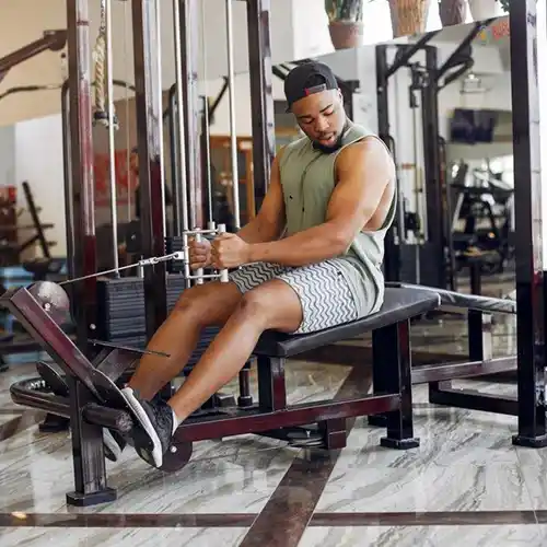 Skytech Colours Avenue